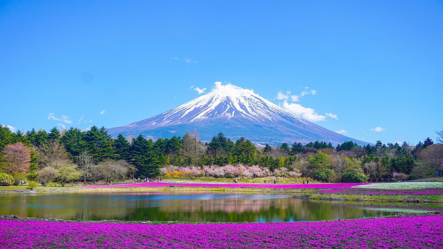 2024年最新】日本の世界遺産一覧！人気スポットの見どころを紹介 | NEWT（ニュート）